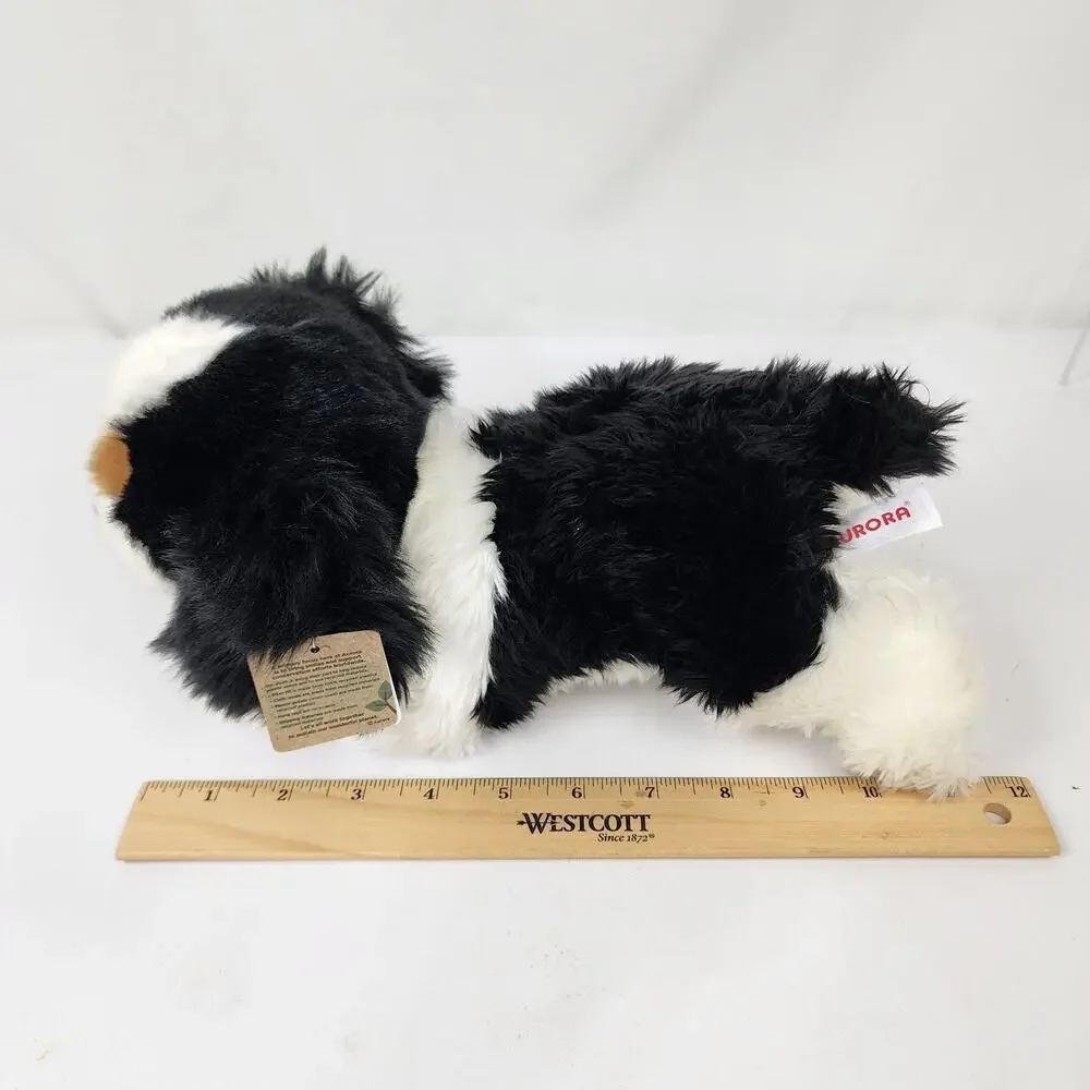 Aurora cavalier king